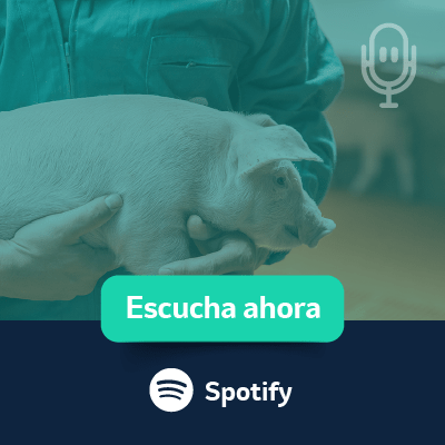 Escúchanos en Spotify