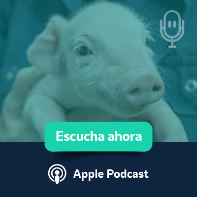 Escucha ahora: Apple Podcast